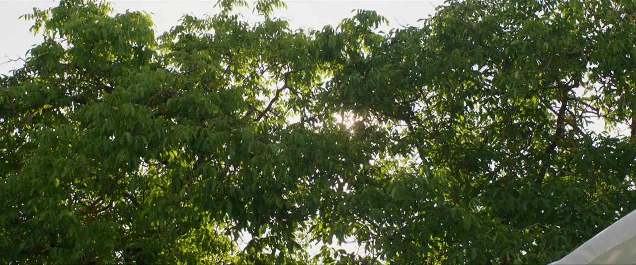 Se son rose screenshot 1
