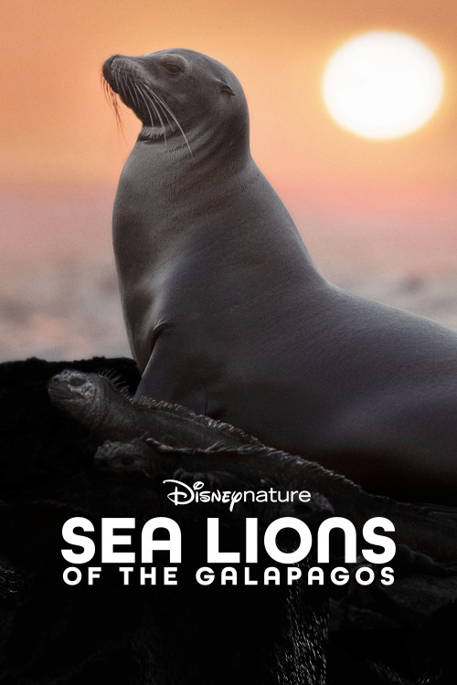 Sea Lions of the Galapagos (2025) poster