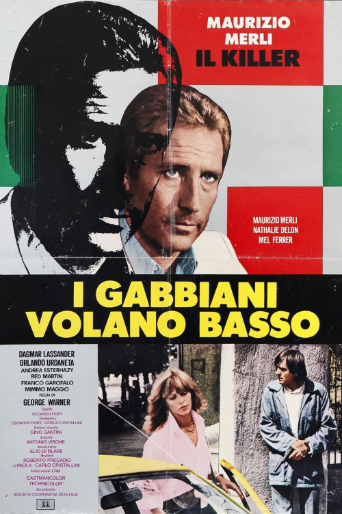 I gabbiani volano basso (1978) poster