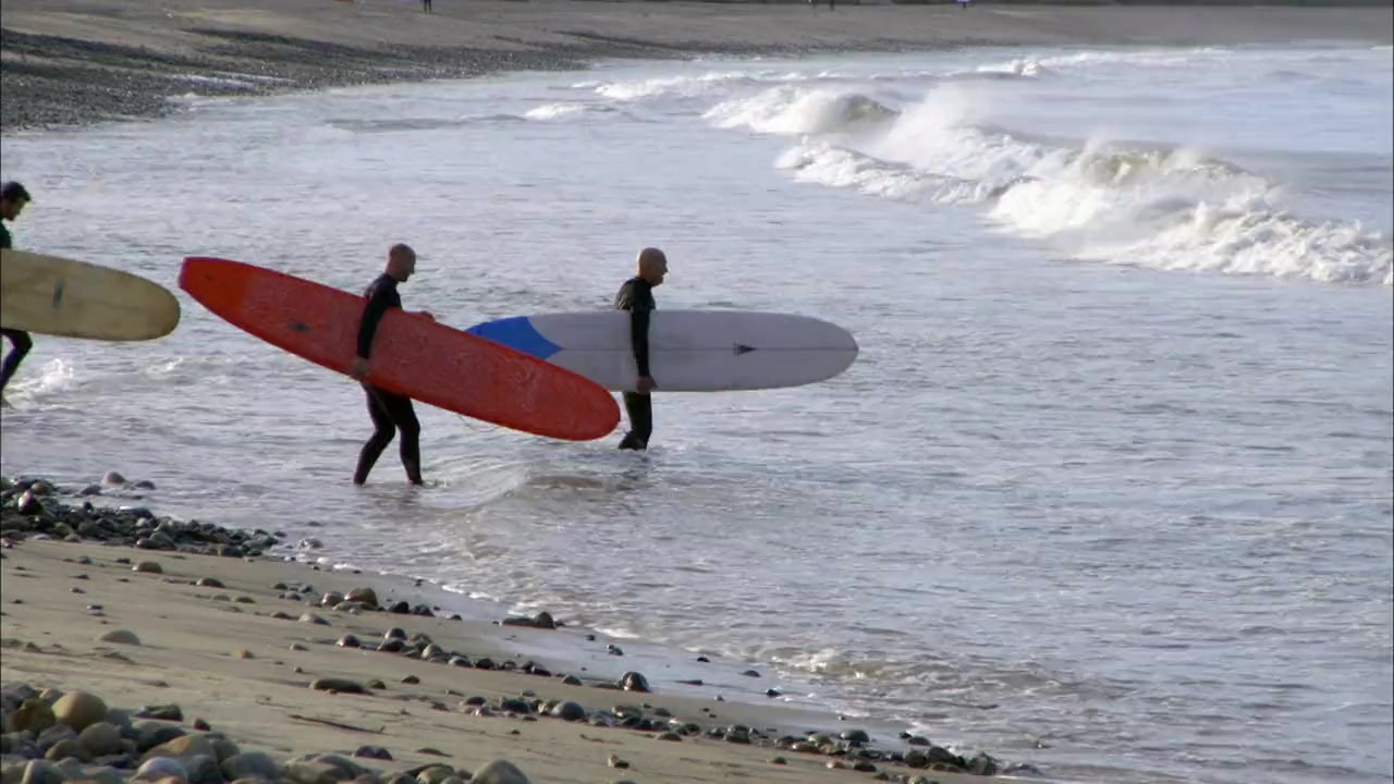 SEAL Dog screenshot 3