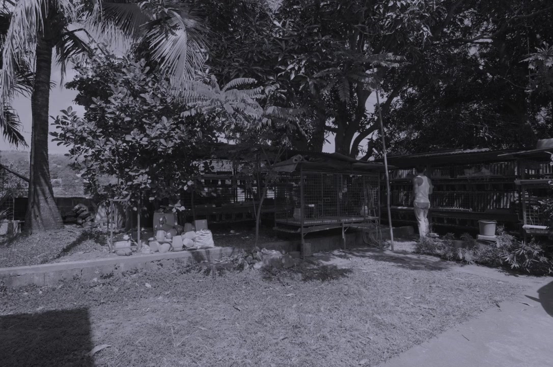 Ang panahon ng halimaw screenshot 1