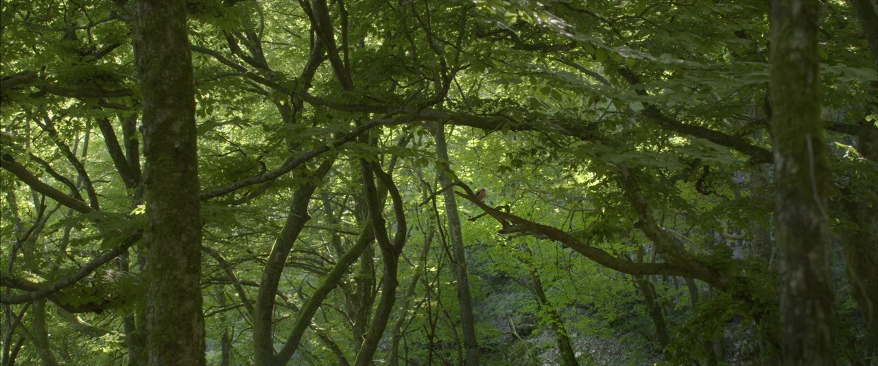 Les saisons screenshot 1
