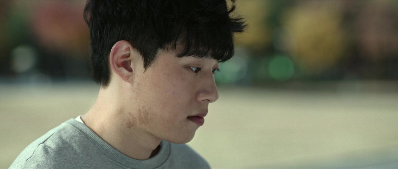 Seochi aut screenshot 3