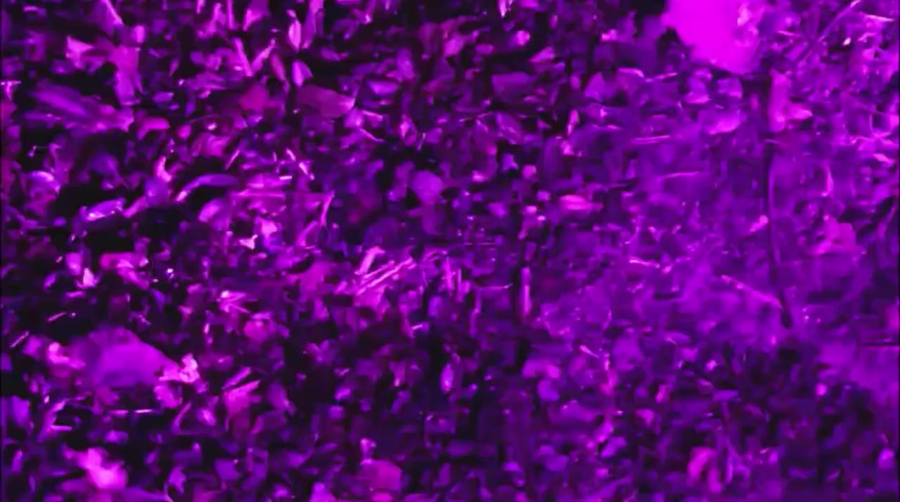 Sebastian's Unholy Flesh screenshot 2