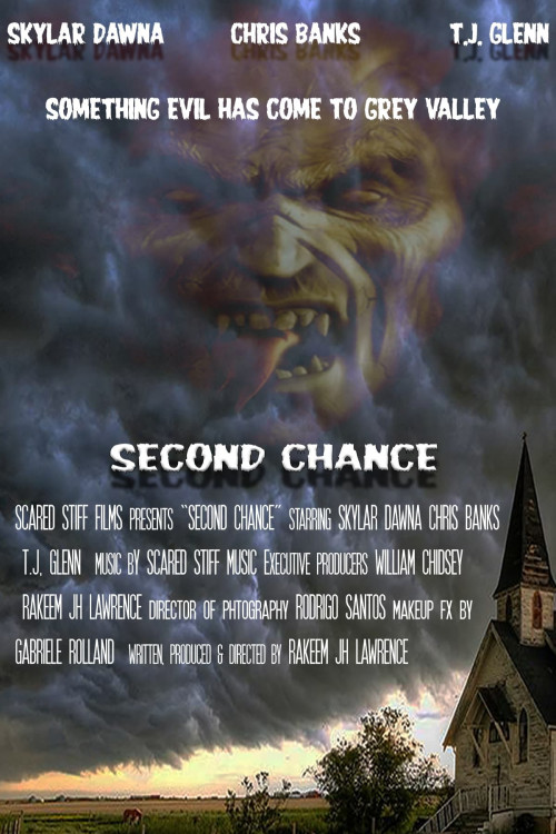 Second Chance (2020) poster