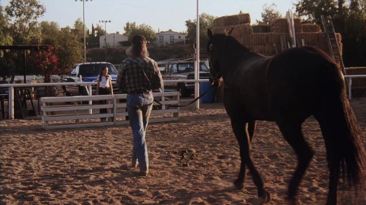 Second Chances screenshot 1