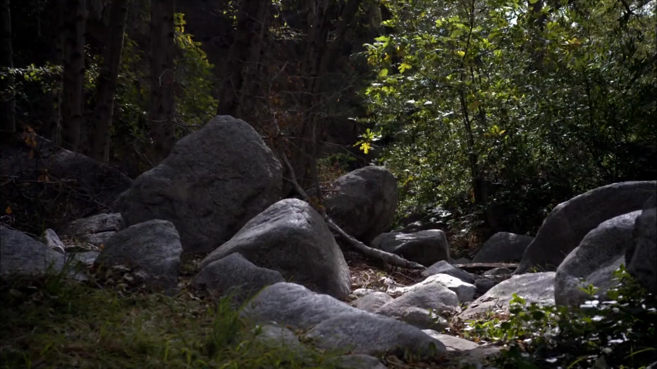 Second Sight screenshot 1