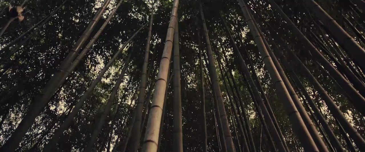 Secondhand Hearts screenshot 1