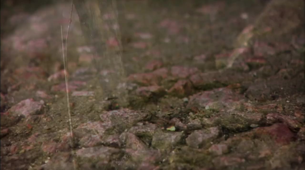 Secret of Water screenshot 3