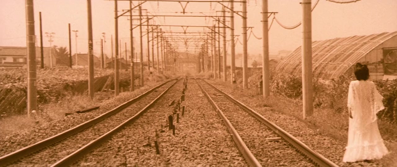Maruhi honeymoon: Boko ressha screenshot 2