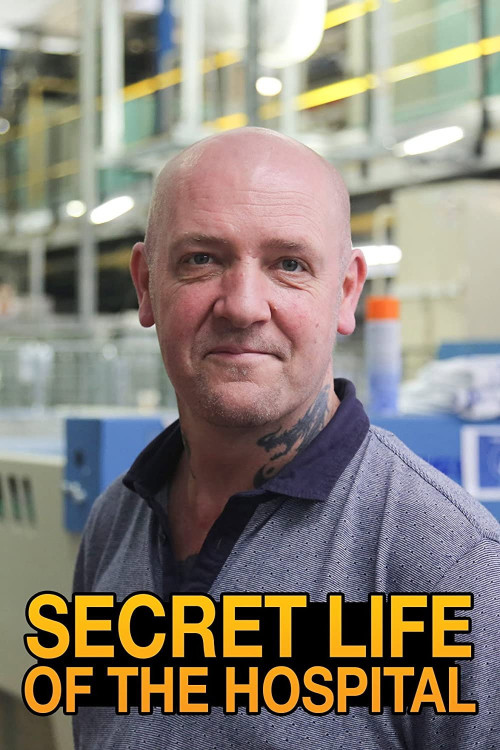 Secret Life of the Hospital (2018) poster