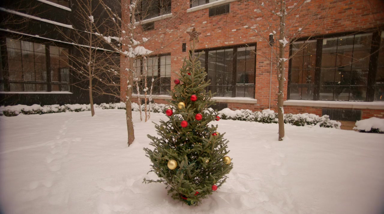 Falling in Love at Christmas screenshot 1