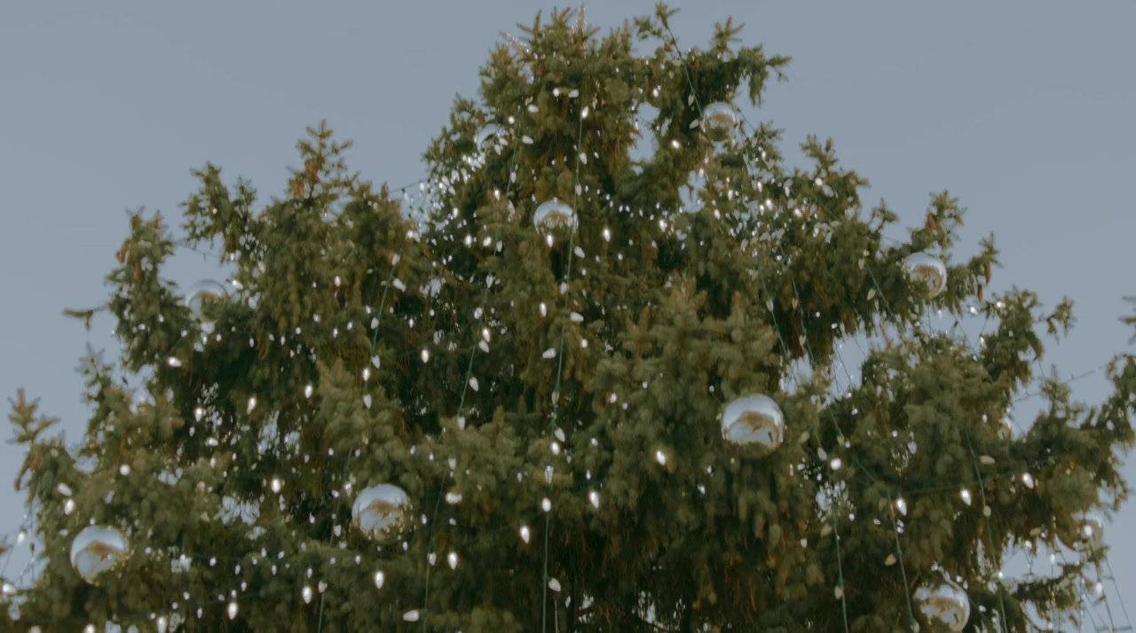 Falling in Love at Christmas screenshot 3