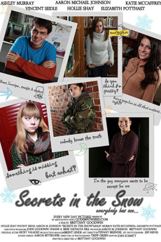 Secrets in the Snow (2012) poster