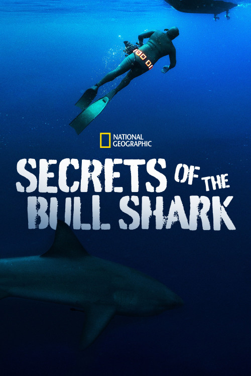 Secrets of the Bull Shark (2020) poster