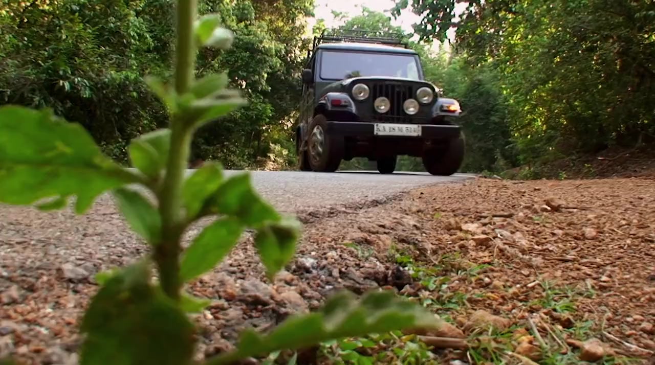Secrets of the King Cobra screenshot 3