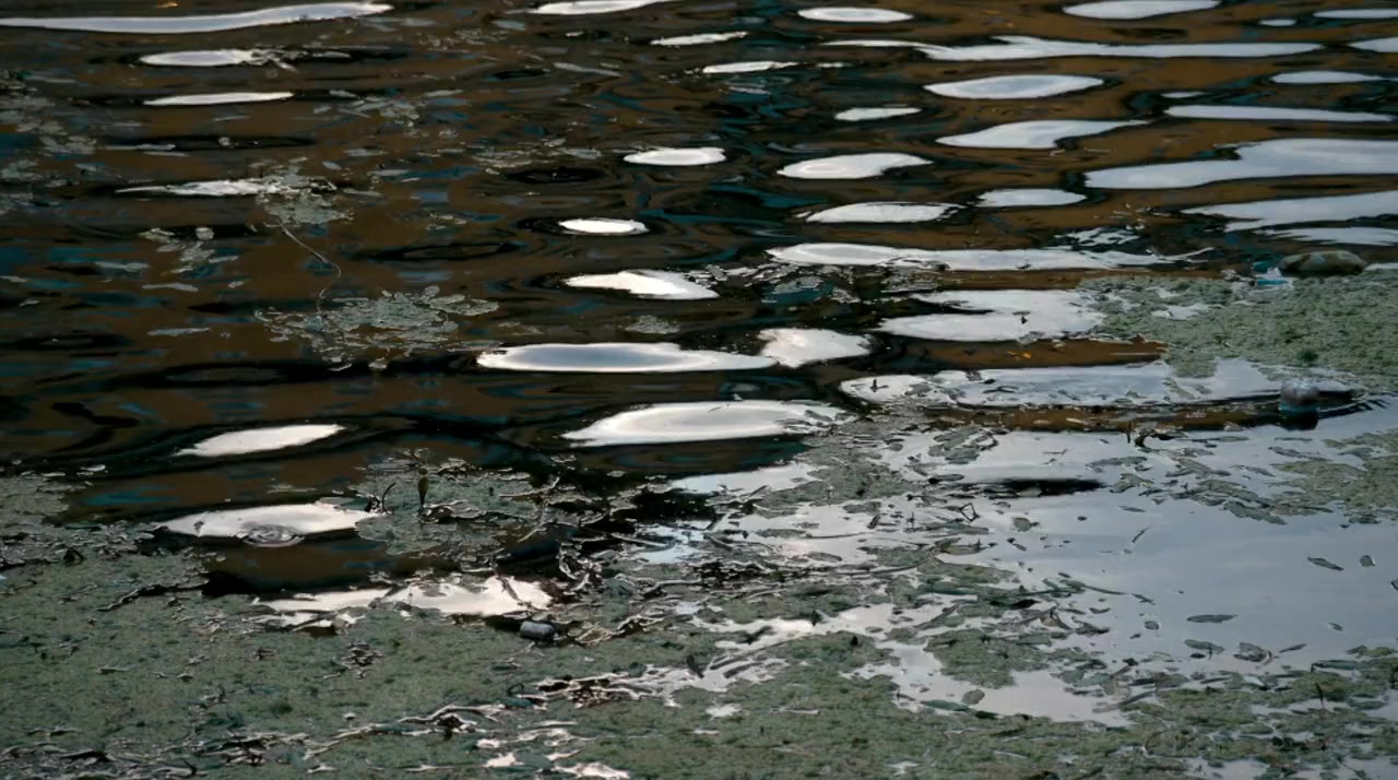 Secrets of the Mona Lisa screenshot 1