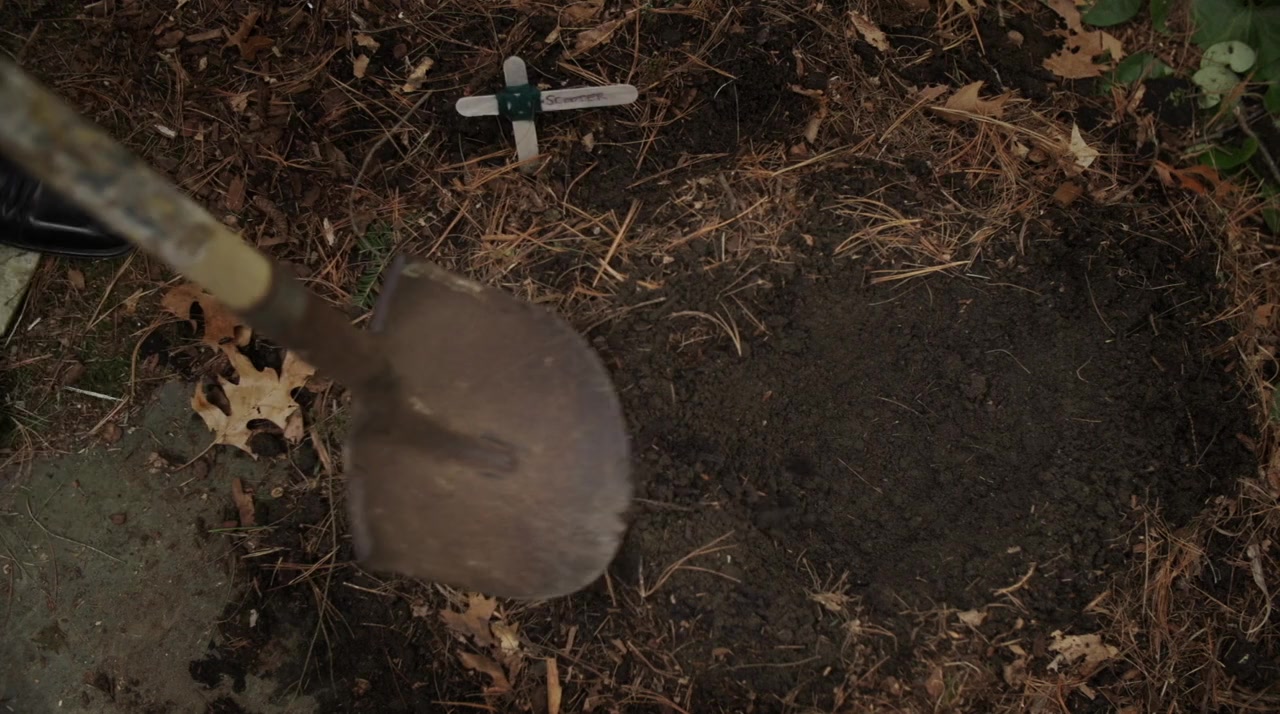 Seduction Theory screenshot 1