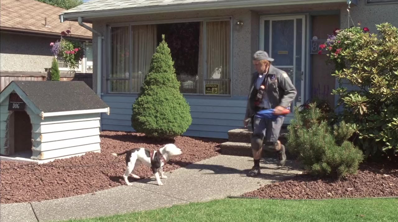 See Spot Run screenshot 1