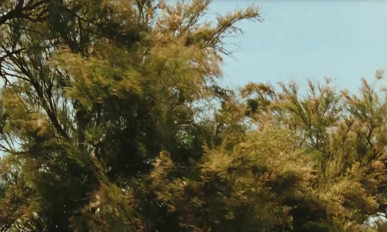 Regarde la mer screenshot 3