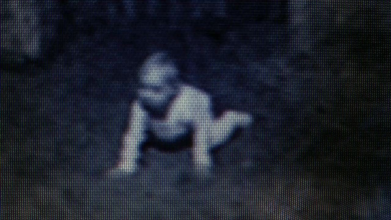 Seed screenshot 1
