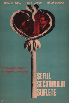 Seful sectorului suflete (1967) poster