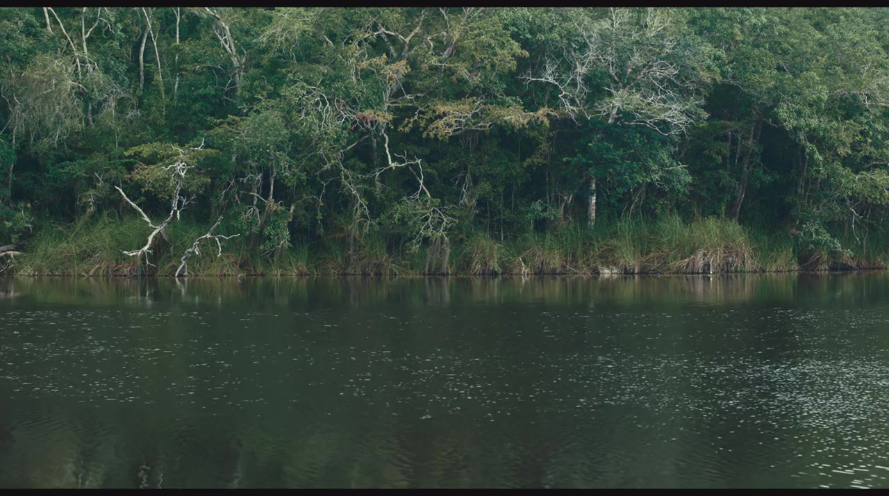 Selva trágica screenshot 2