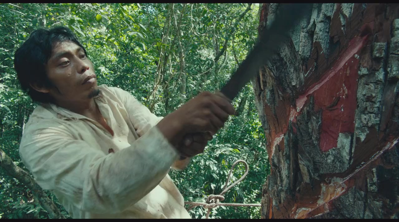 Selva trágica screenshot 3