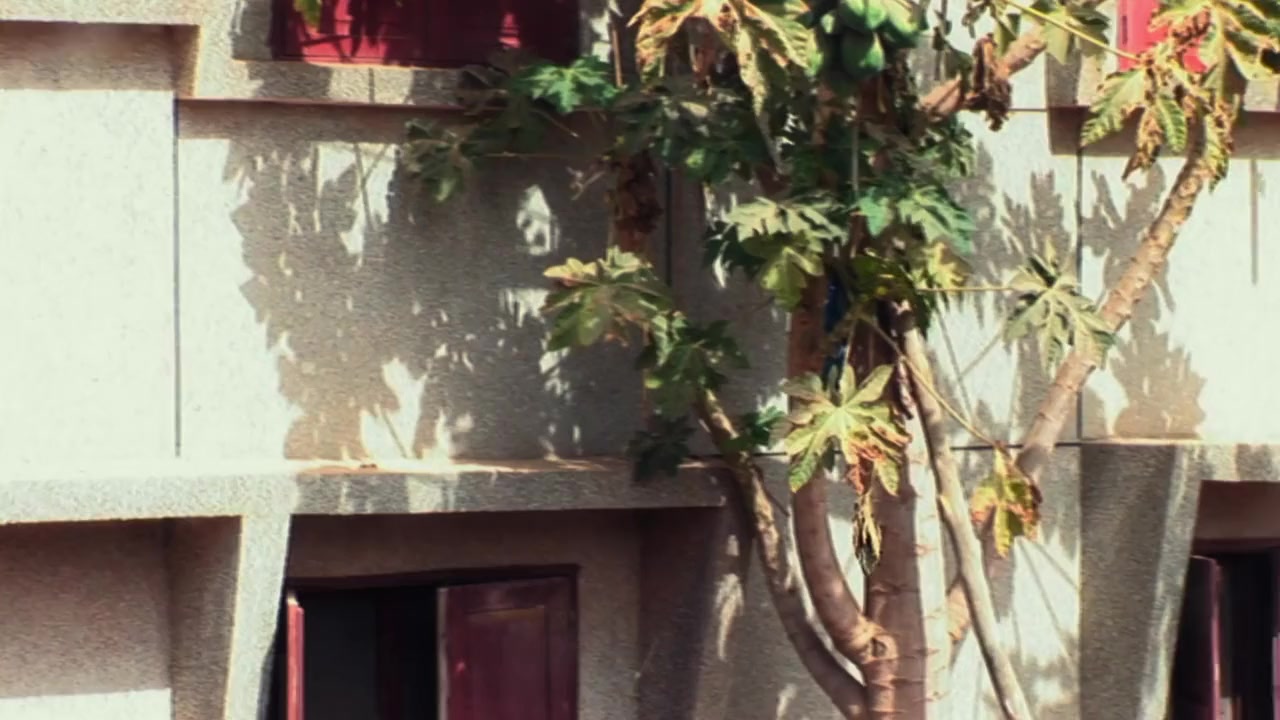 Sembene! screenshot 2