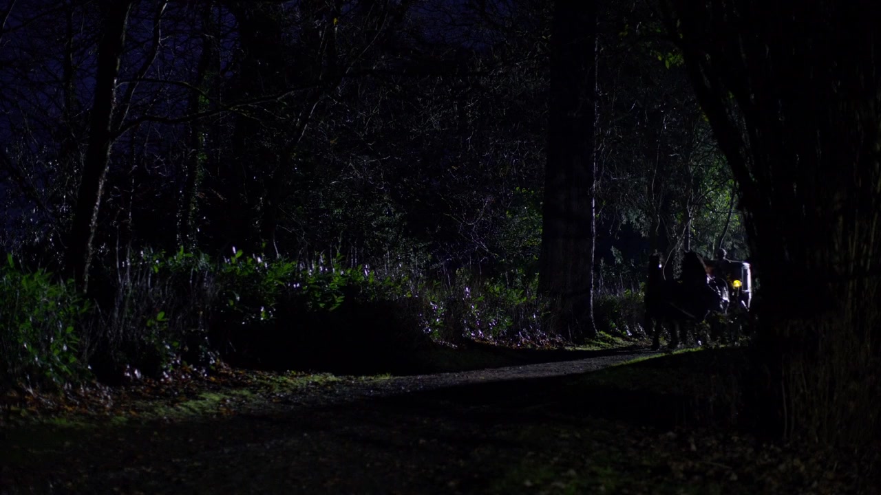 Sense and Sensibility screenshot 3