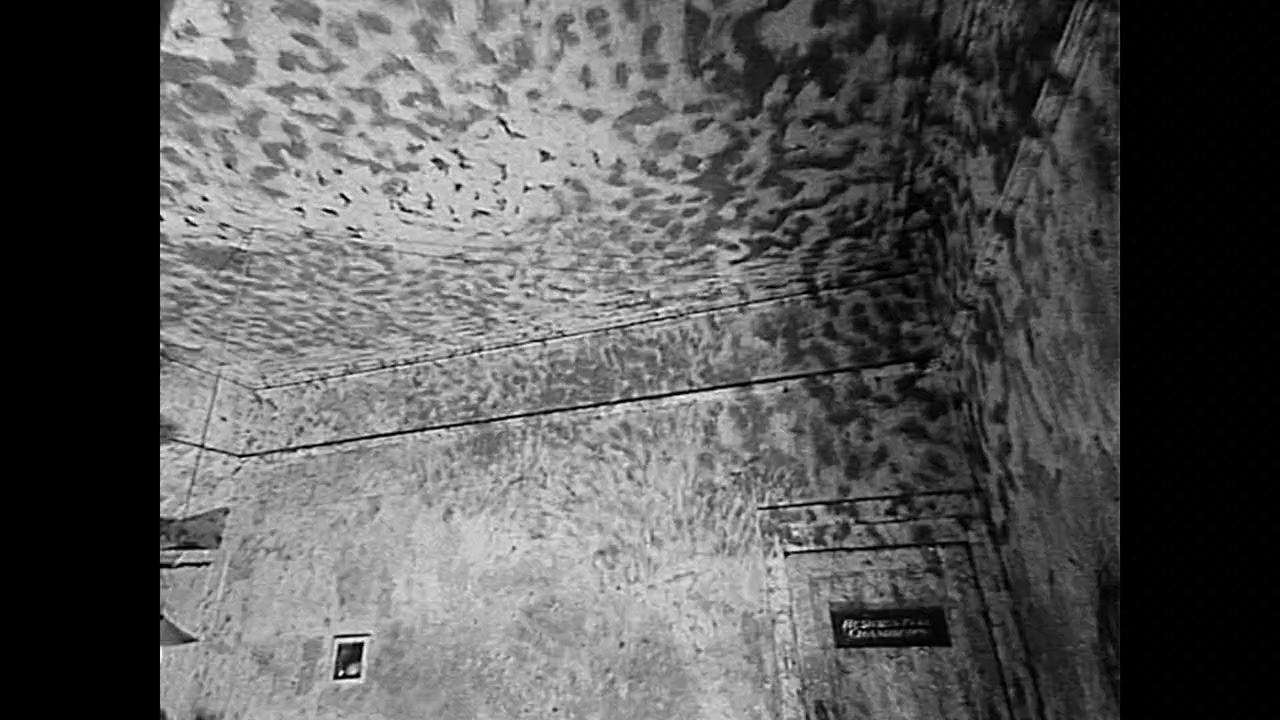 Senses of Cinema screenshot 3