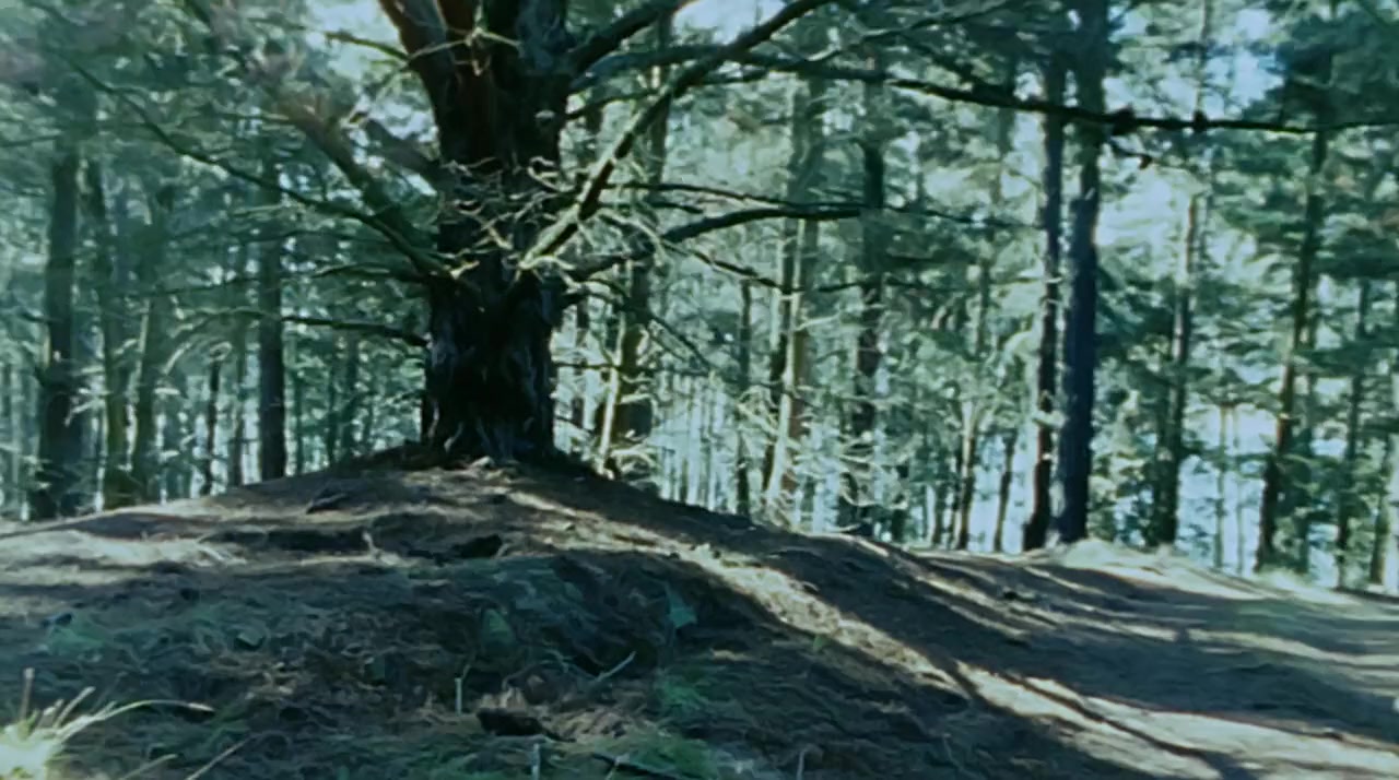 Sensitive New Age Killer screenshot 1