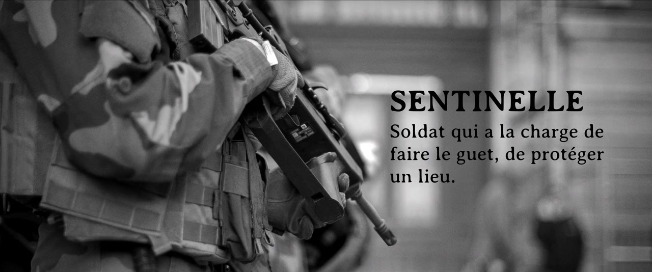 Sentinelle screenshot 2