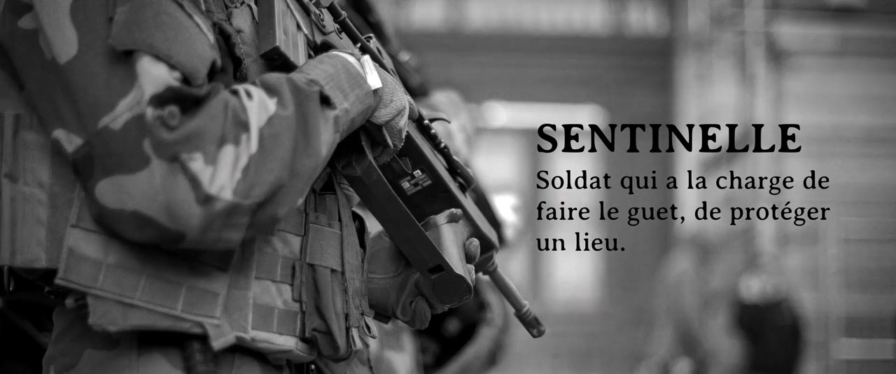 Sentinelles screenshot 2