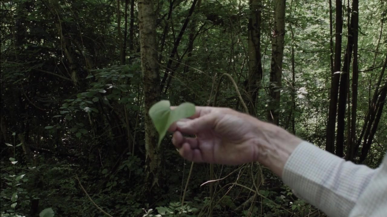 Sept promenades avec Mark Brown screenshot 1