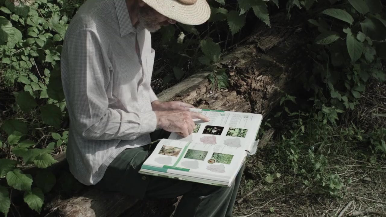 Sept promenades avec Mark Brown screenshot 3