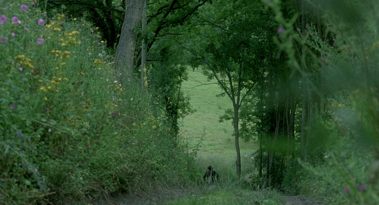 Séraphine screenshot 3