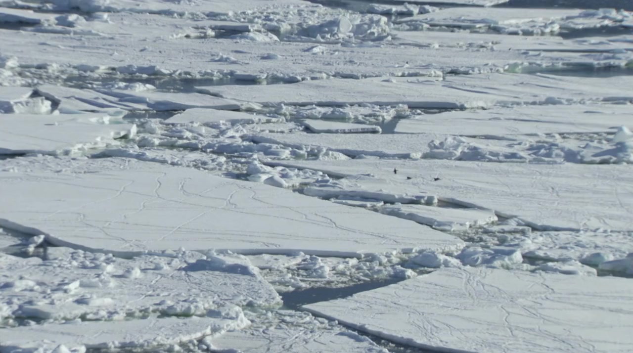 Shackleton's Captain screenshot 2
