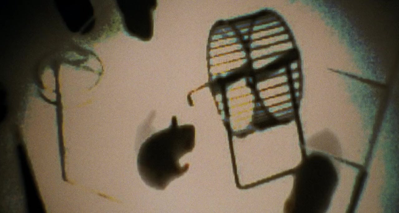 Shadow Man screenshot 2
