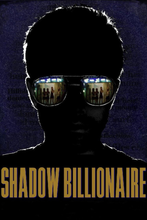 Shadow Billionaire (2009) poster