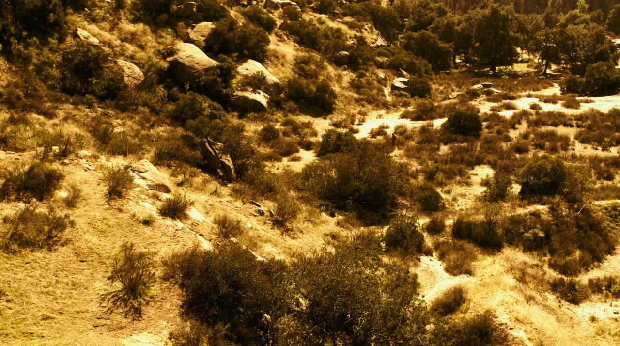 Shadow Wolves screenshot 2
