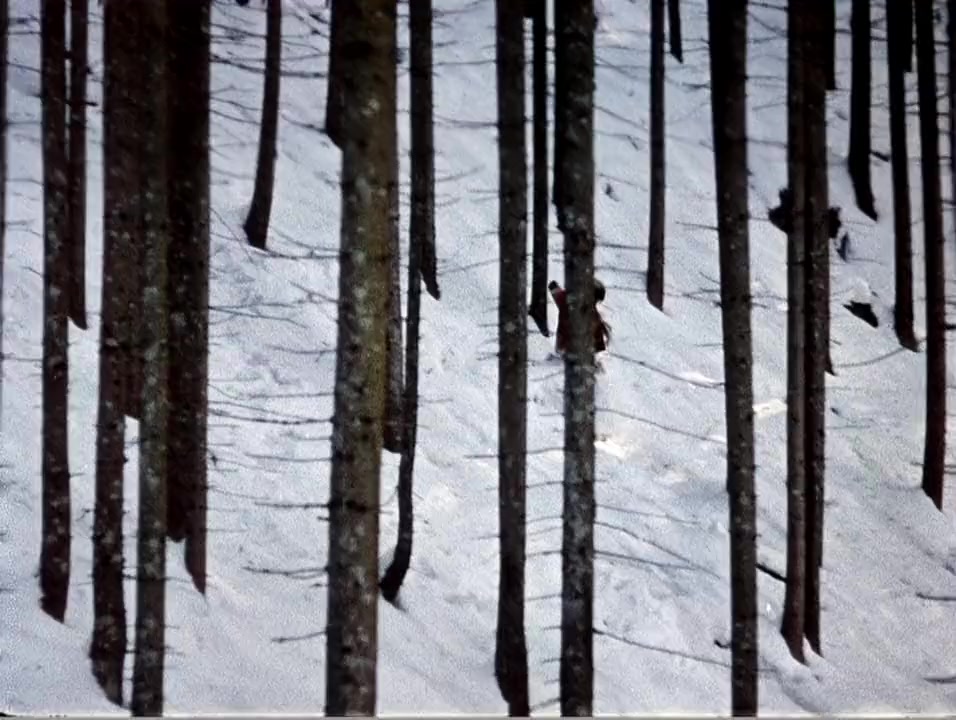 Tini zabutykh predkiv screenshot 1