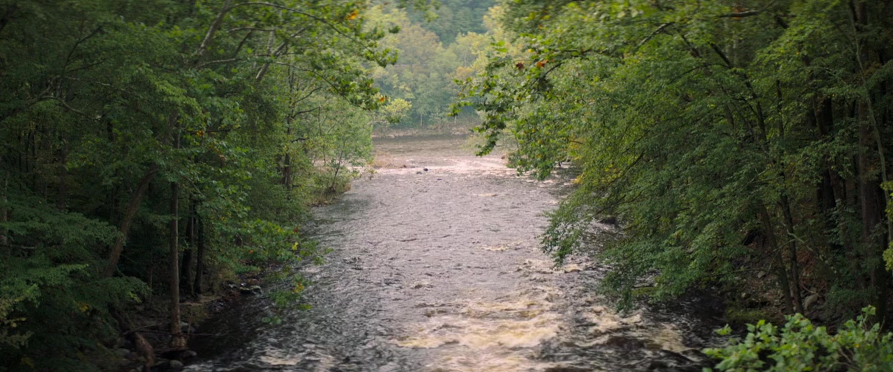 Shady Grove screenshot 1