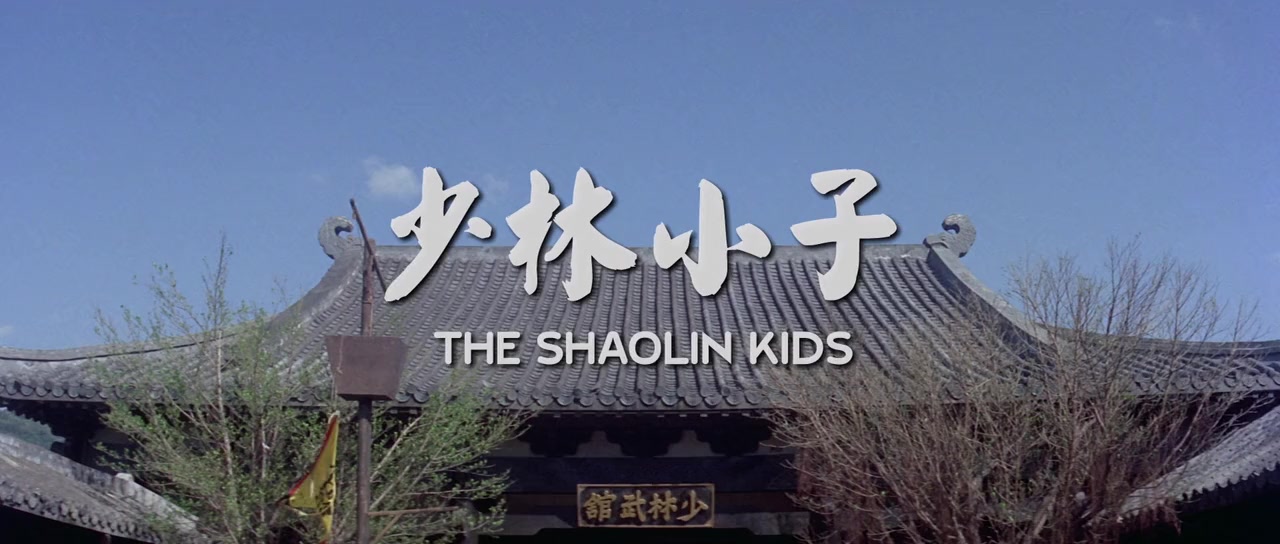Shao Lin xiao zi screenshot 2