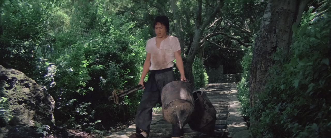 Shao Lin mu ren xiang screenshot 1