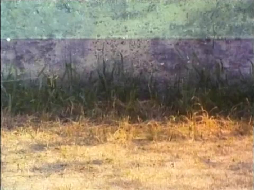 Shaolin Dolemite screenshot 2