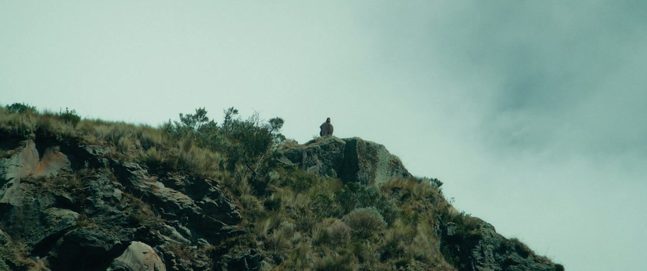 Shaman screenshot 1