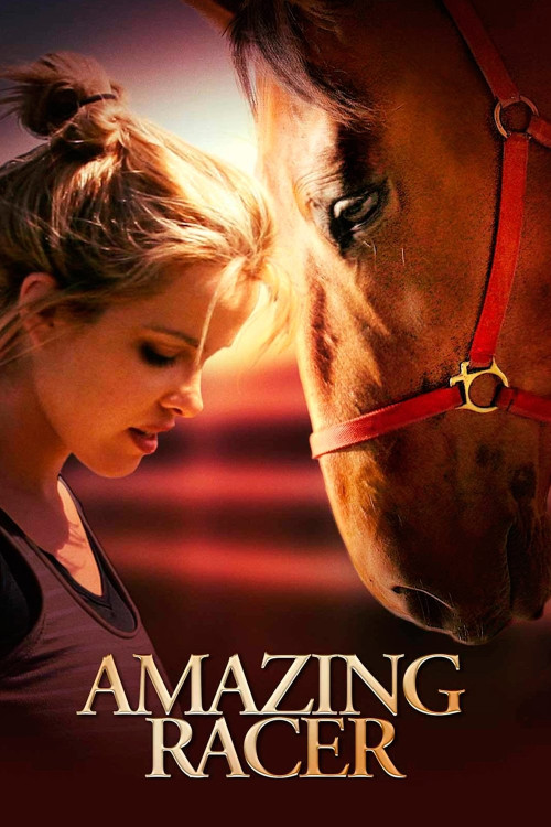 Shannon's Rainbow (2009) poster
