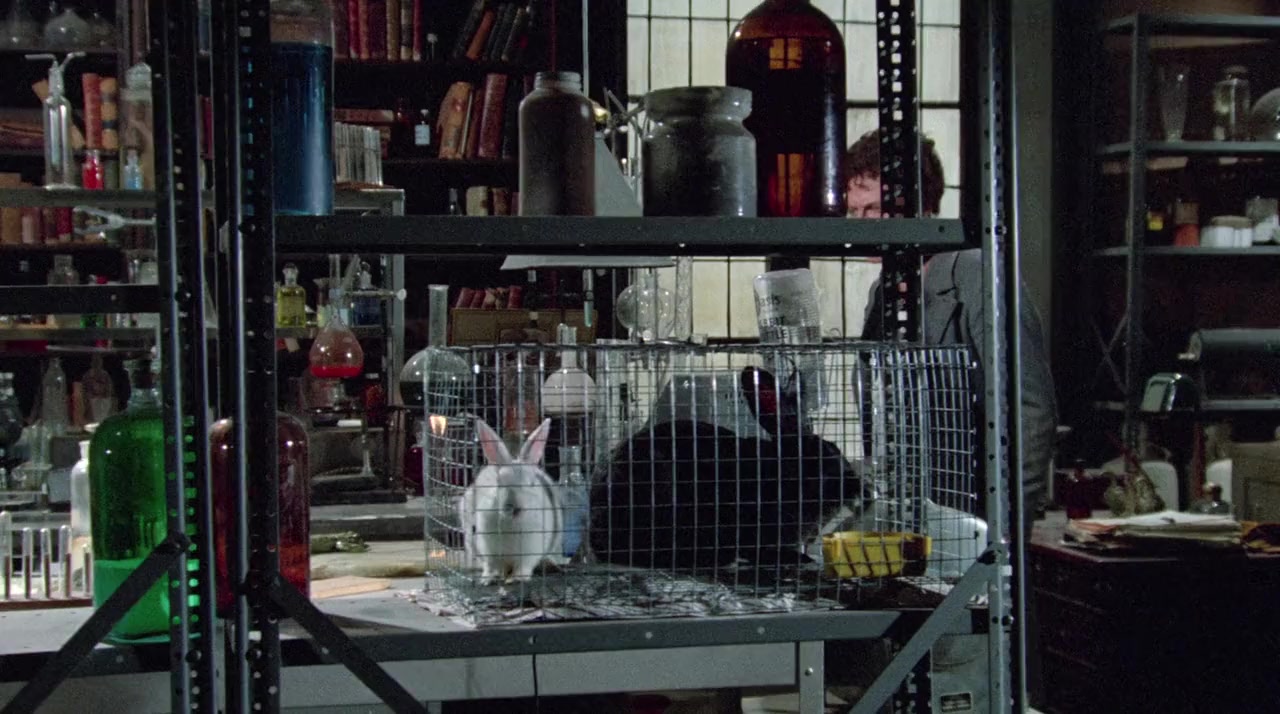Shanks screenshot 2