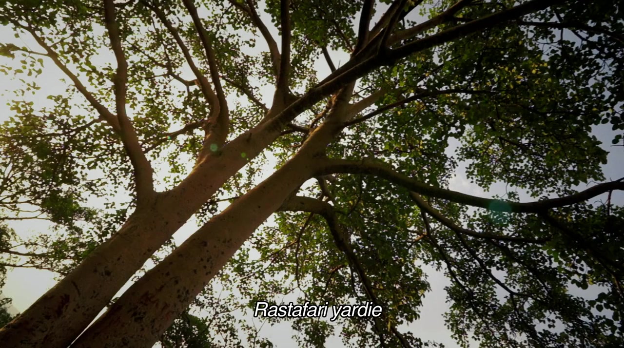 Shashamane screenshot 1